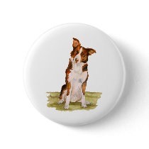 Border Collie buttons