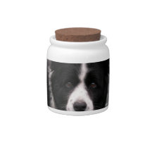 Border Collie Candy Jar