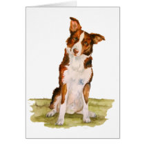 Border Collie Greeting Card