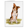 Border Collie Greeting Card