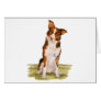 Border Collie Greeting Cards
