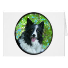 Border Collie Cards
