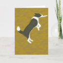 Border Collie
                                       Catching Frisbee Notecard