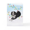 Border Collie Christmas cards by cartoondogs Border Collie Christmas cards