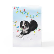 Border Collie Christmas cards
