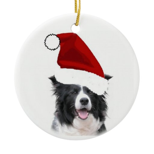 border collie christmas ornament zazzle border collie christmas ornament zazzle