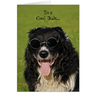 Border Collie Cool Dude Card card