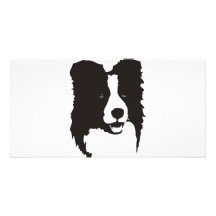 Border Collie Customized Photo Card