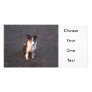 Border Collie - Dixie Photo Cards
