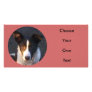 Border Collie - Dixie Photo Greeting Card
