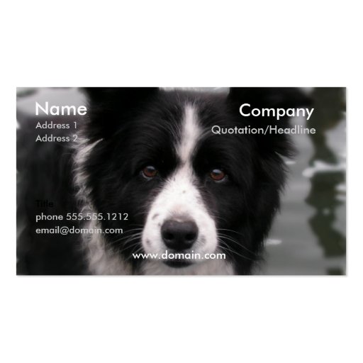 Border Collie Dog Business Card (front side)