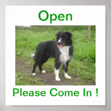 Border Collie Dog Open For Business Sign Poster