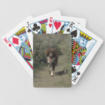 Border Collie Dog Playing Cards