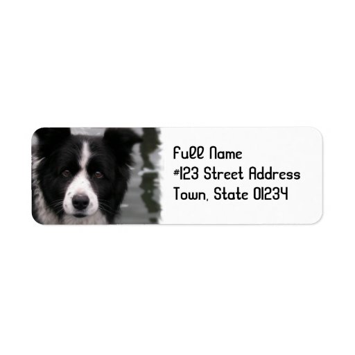 avery 30 labels per