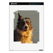 Border Collie Dog Running iPad 3 Skin
