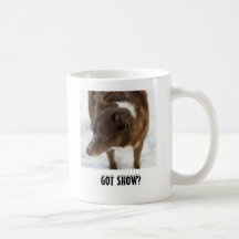 Border collie en nieve tazas de café
