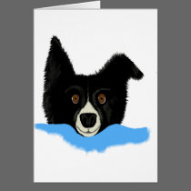Border Collie Face cards