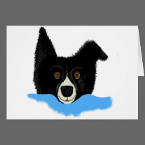 Border Collie Face cards