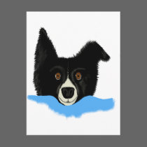 Border Collie Face postcards
