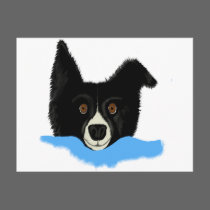 Border Collie Face postcards