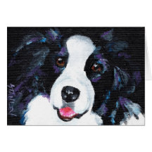Border collie felicitación