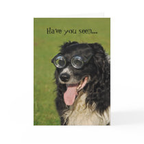 Border Collie Flocking Funny Card