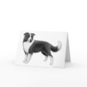 Border Collie Greeting Card by twopurringcats Border Collie Greeting Card