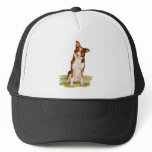 Border Collie Mesh Hat