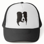 Border Collie Hat