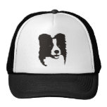 Border Collie Hat