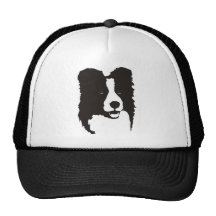Border Collie Hat