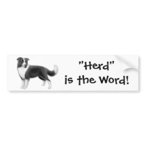 Border Collie Herding Bumper Sticker
