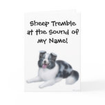 Border Collie Herding Dog Greeting Card