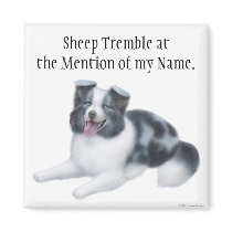 Border Collie Herding Dog Magnet