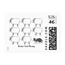 Border Collie Herding Sheep Postage Stamps