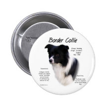 Border Collie History Design Pinback Button
