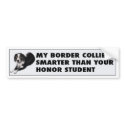 Border Collie Honor Studen bumpersticker