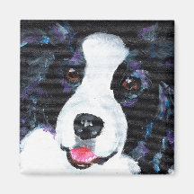 Border collie imán de frigorífico