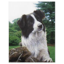 Border collie in park letterhead