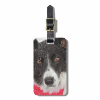 Border Collie in Snow Luggage Tag