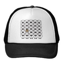 Border Collie in the Sheep Hats