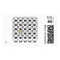 Border Collie in the Sheep Postage