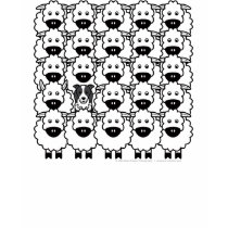 Border Collie in the Sheep t-shirts