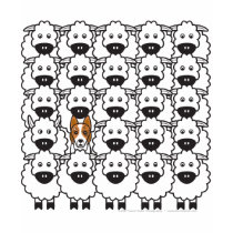 Border Collie in the Sheep t-shirts by khocker Border Collie in the Sheep t-shirts