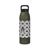 Border Collie in the Sheep water bottles