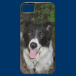 Border Collie iPhone5 Barely There Case casemate cases