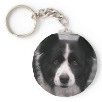 Border Collie Keychain