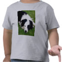 Border Collie kids shirt