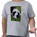 Border Collie kids shirt