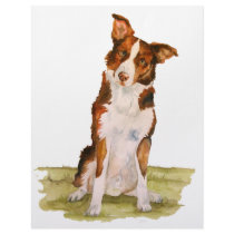 Border Collie letterhead